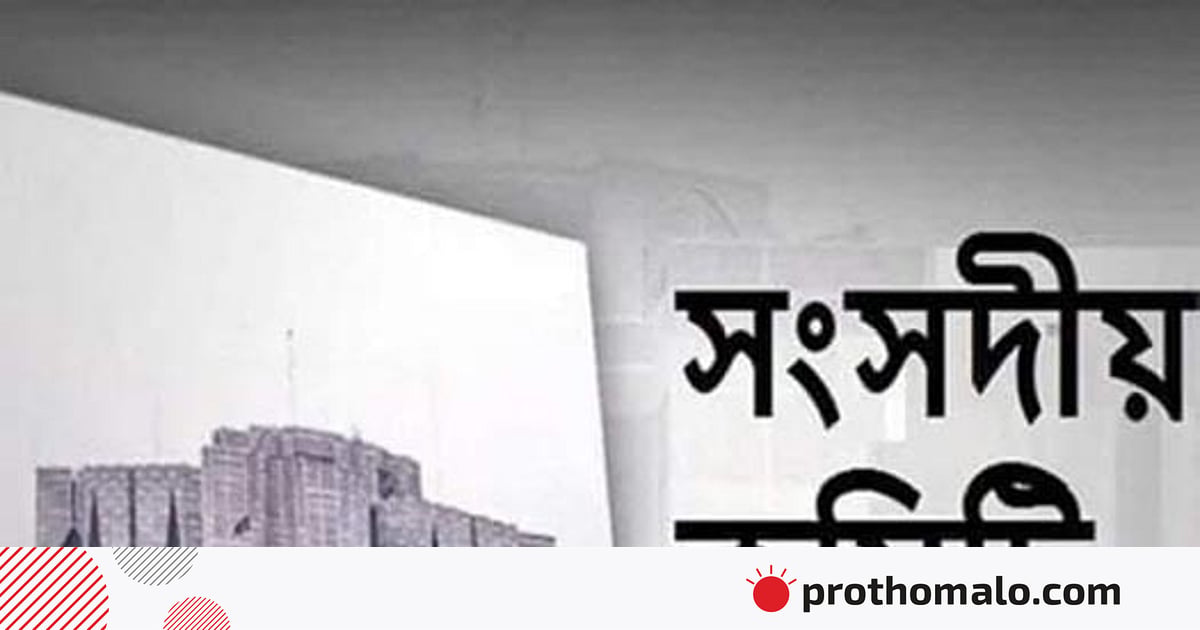 সংসদীয় কমিটির ক্ষমতা বাড়াতে নেই কোনো আইন